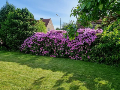  Karl X Gustavs gata 84