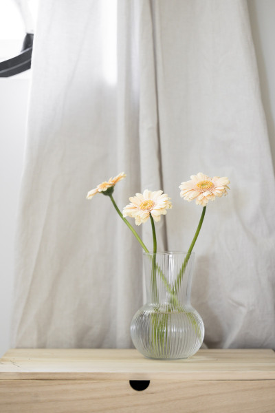  Vagnmakarevägen 157