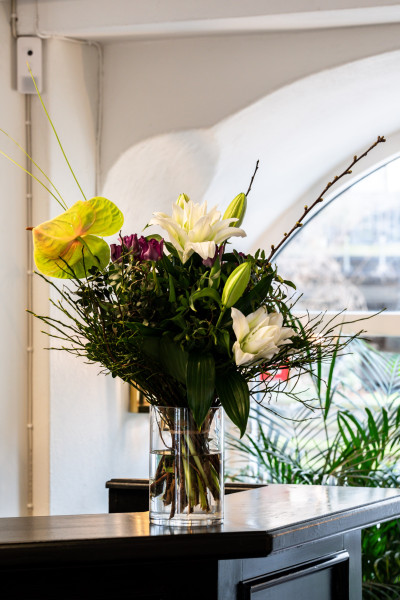  Nedre långvinkelsgatan 6