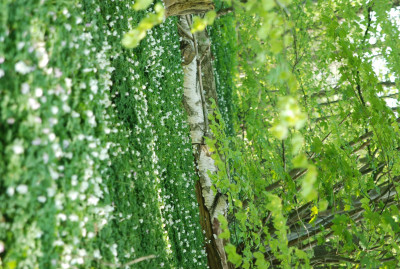  Södra Brunnsvägen 19