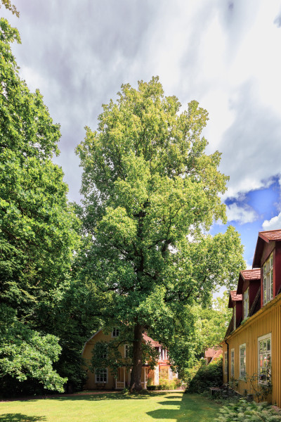 Brunnsparken villa salvia 1