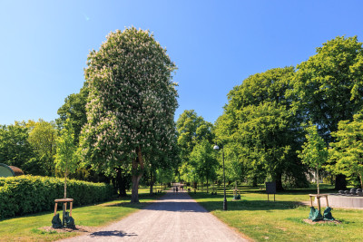 Brunnsparken villa salvia 1