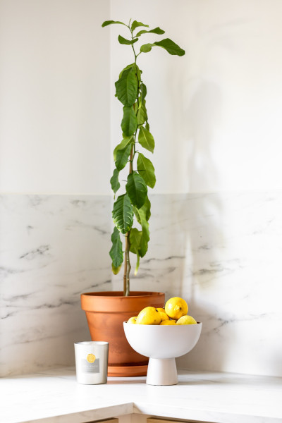  Wachtmeisters väg 15