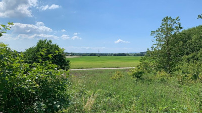 Utsikt över åkrar och ängar Tockarpsvägen