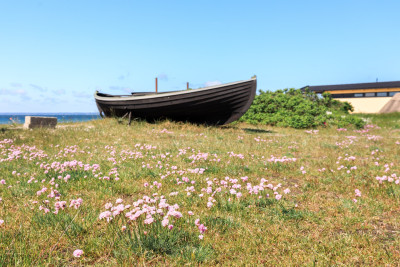 Rååvägen 88B