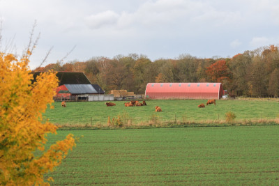  Gånge-Rolfs gata 85