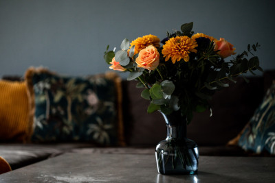  Gustavslundsvägen 228