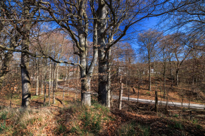  Bengt Langhs gata 6B