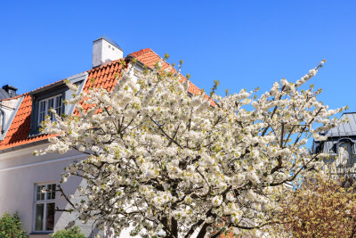  Östra Vallgatan 22