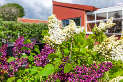  Sadelvägen 38