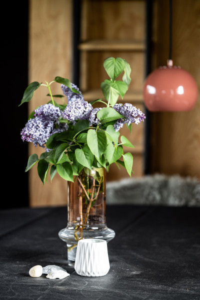  Lantmästarevägen 72