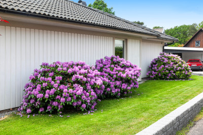  Marias väg 3