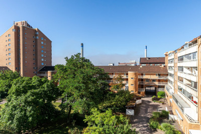  Södergatan 80